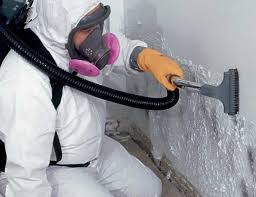 Trusted Bloomingdale, NJ Mold Removal Services Experts